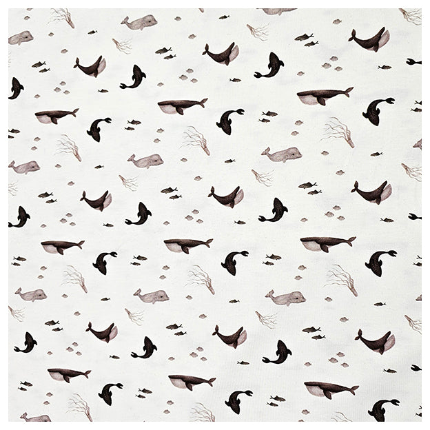 Jersey Digital Fische