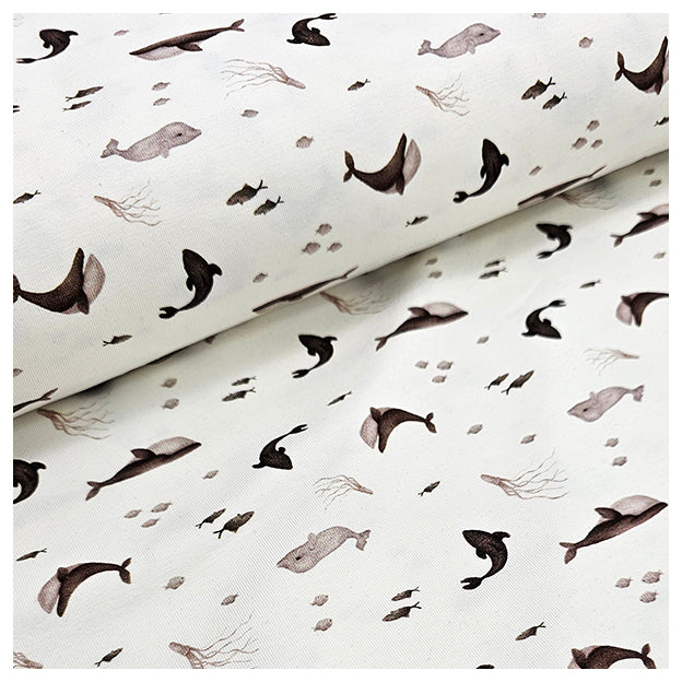 Jersey Digital Fische