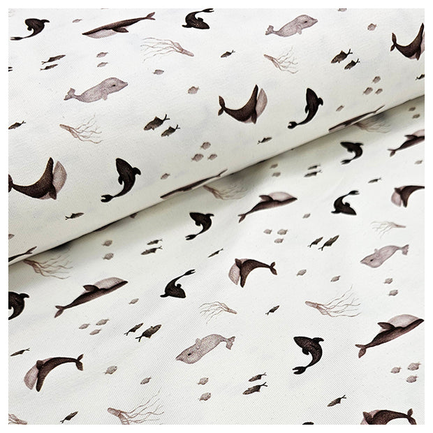 Jersey Digital Fische