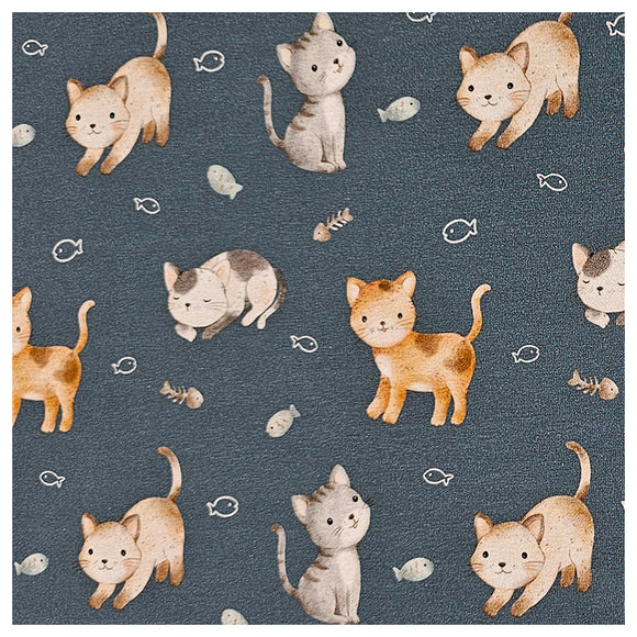 Jersey Katzen