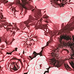 Canvas fein Rosen cherry