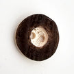 Knopf Hornoptik verschiedene Größen