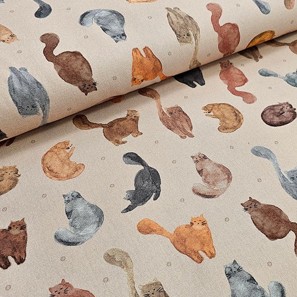 Canvas Katzen