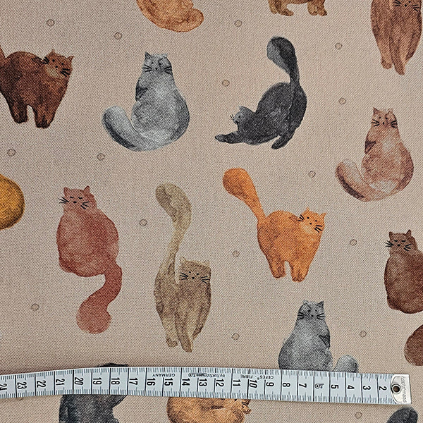 Canvas Katzen