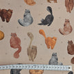 Canvas Katzen