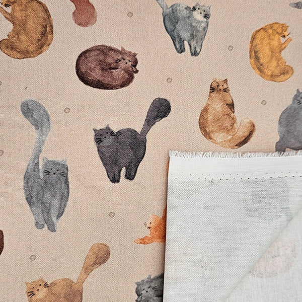 Canvas Katzen