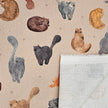 Canvas Katzen