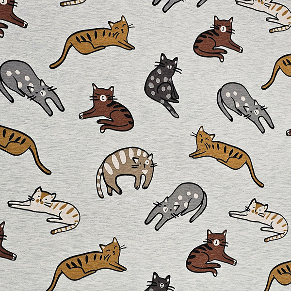 Jersey Katzen ecru meliert