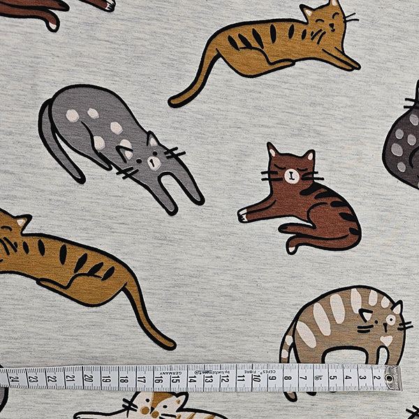 Jersey Katzen ecru meliert