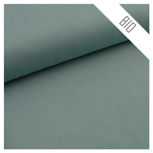 Stoffbox Jersey Fahrzeuge und Rippersey mit Bündchen Bio