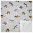 French Terry Dinosaurier grau