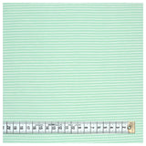 Jersey Streifen mint/weiß 2mm
