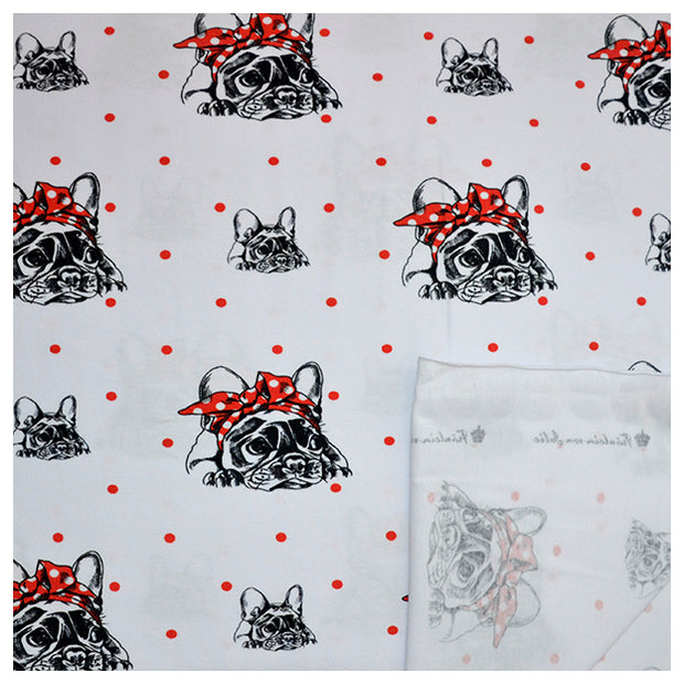 Jersey Bulldogge weiß