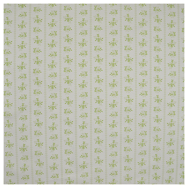 Baumwolle Blumen weiß und hellgrün