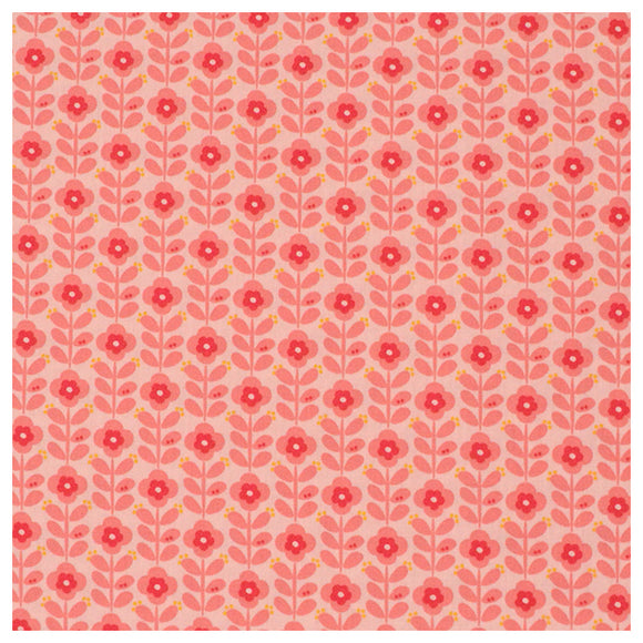 Baumwoll-Popelin graphic Flower